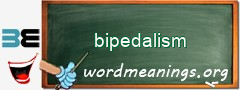 WordMeaning blackboard for bipedalism